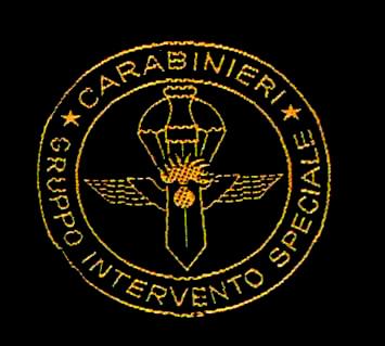 Carabinieri: Gruppo d'Intervento Speciale